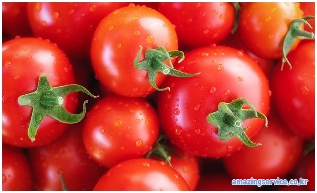 Cherry tomato-01