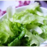 Lettuce-01