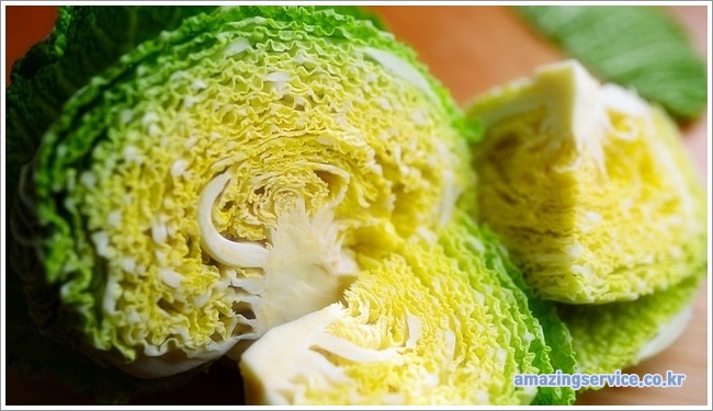 cabbage이미지입니다.
