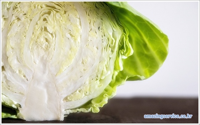 cabbage이미지입니다.