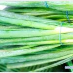 chives-01