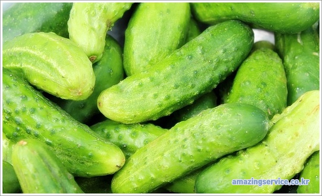 cucumber이미지입니다.