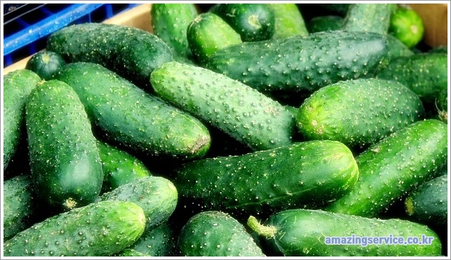 cucumber이미지입니다.