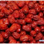 jujube-01
