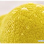 lemon-01