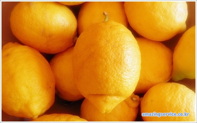 lemon이미지입니다.