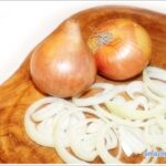 onion-01