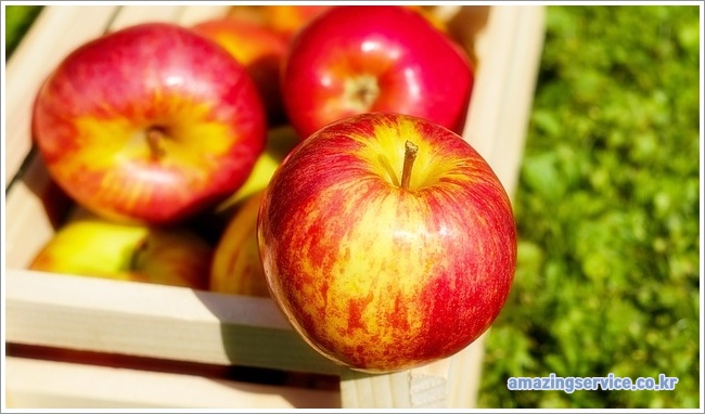 apple이미지입니다.