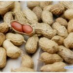 peanut-01
