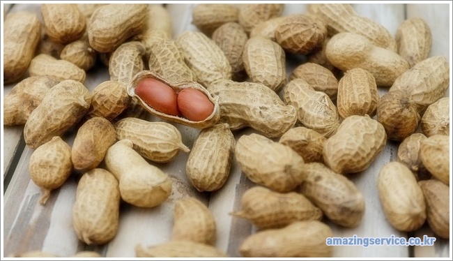 peanut이미지입니다.
