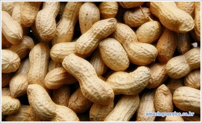 peanut이미지입니다.