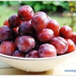 plum-01