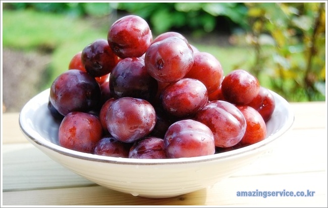 plum이미지입니다.