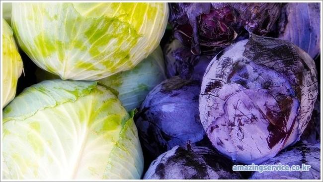 cabbage이미지입니다.