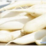 raw radish-01