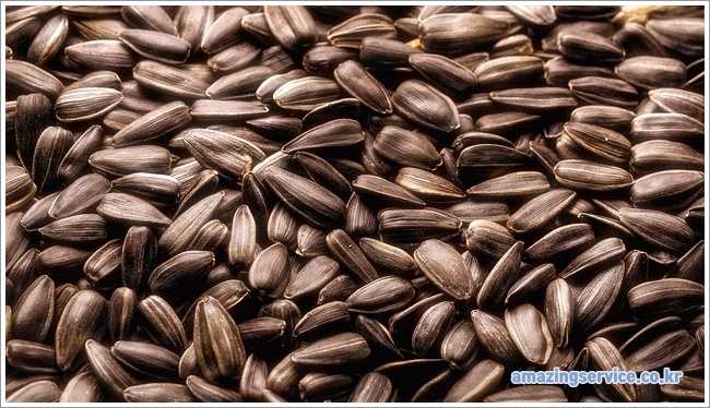 sunflower seeds이미지입니다.