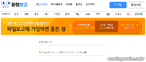 파일보고 홈페이지