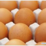 egg-01