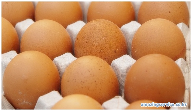 egg이미지입니다.
