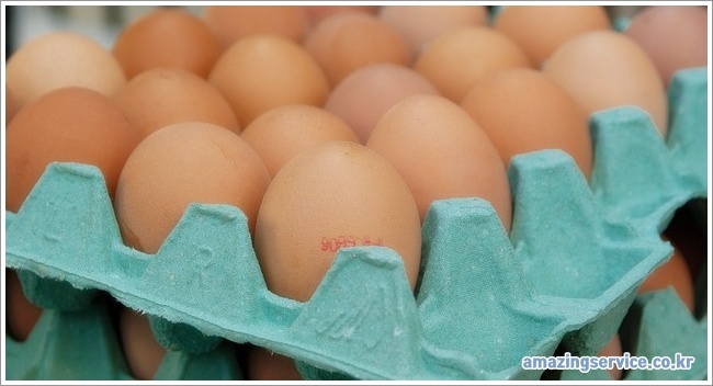 egg이미지입니다.