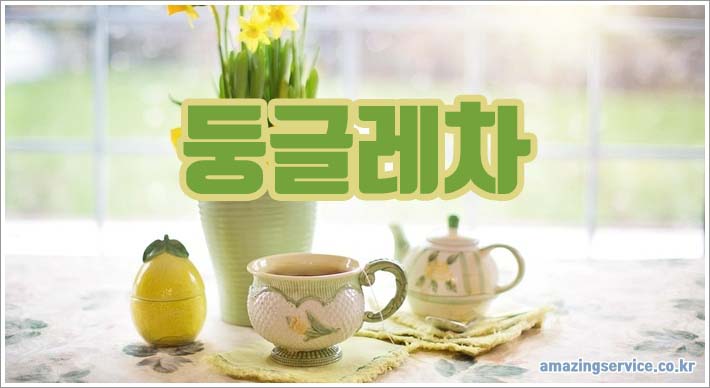 둥글레차