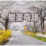 벚꽃축제