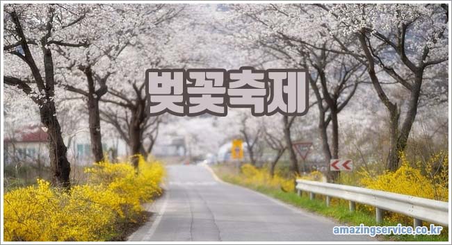 벚꽃축제 관련이미지이미지입니다.