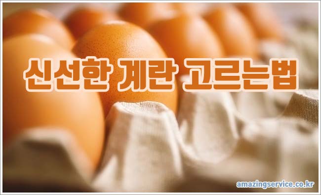 신선한 계란 관련이미지이미지입니다.