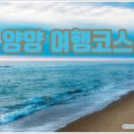 양양 여행코스