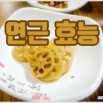 연근 효능