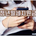 청년월세지원금