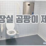 화장실 곰팡이 제거