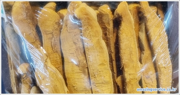 상황버섯 이미지