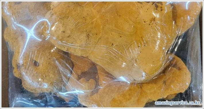 상황버섯 이미지