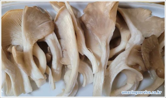 Meaty oyster mushrooms이미지입니다.