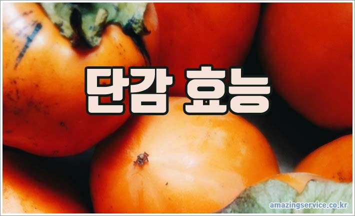단감 효능 부작용 하루 섭취량 알아보기