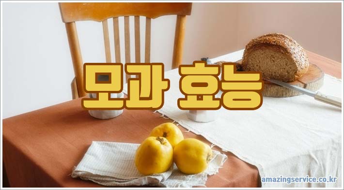 모과 효능 부작용 하루 섭취량 완벽 가이드