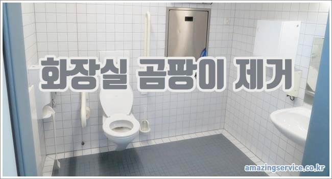 화장실 곰팡이 관련이미지이미지입니다.