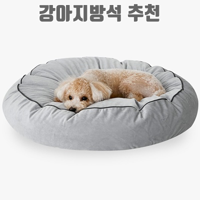 1.데코원 원스 극세사 강아지 방석 솜포함_이미지(imge)입니다.
