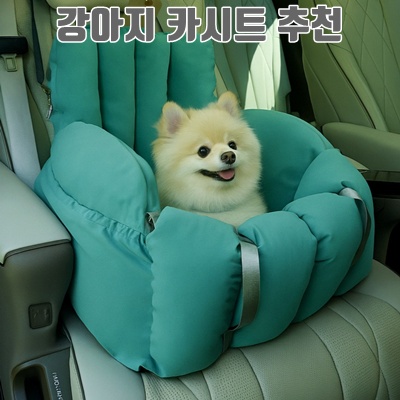 안전하고 편안한 강아지 카시트 추천 가이드