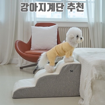 강아지 계단 추천과 선택 가이드로 반려견의 안전과 편리함을 높여보세요